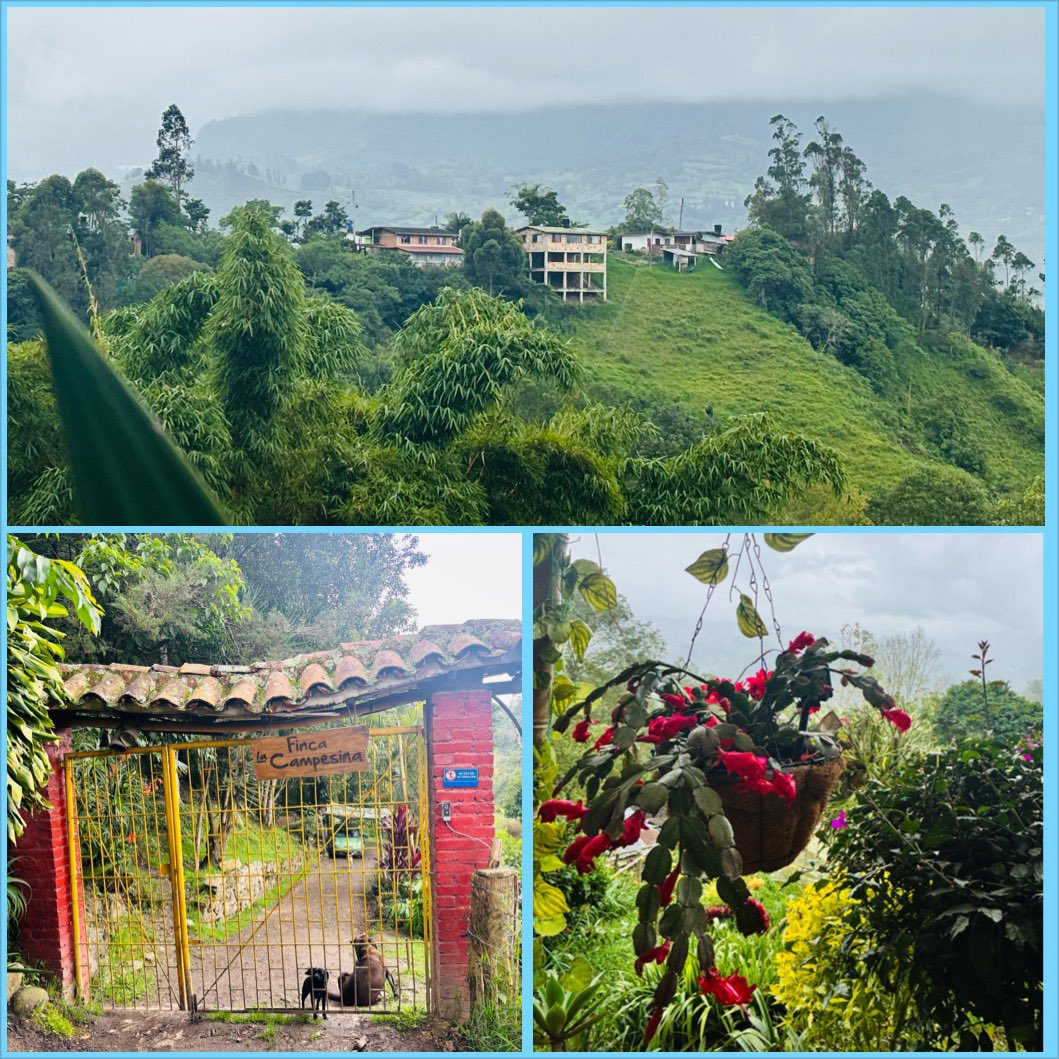 MissCDFarran's tweet image. Outside of #Bogota, there is a wonderful coffee farm near #Choachi. There Iβve learnt all about coffee, from seed to cup πππΌββοΈβοΈπ¨π΄