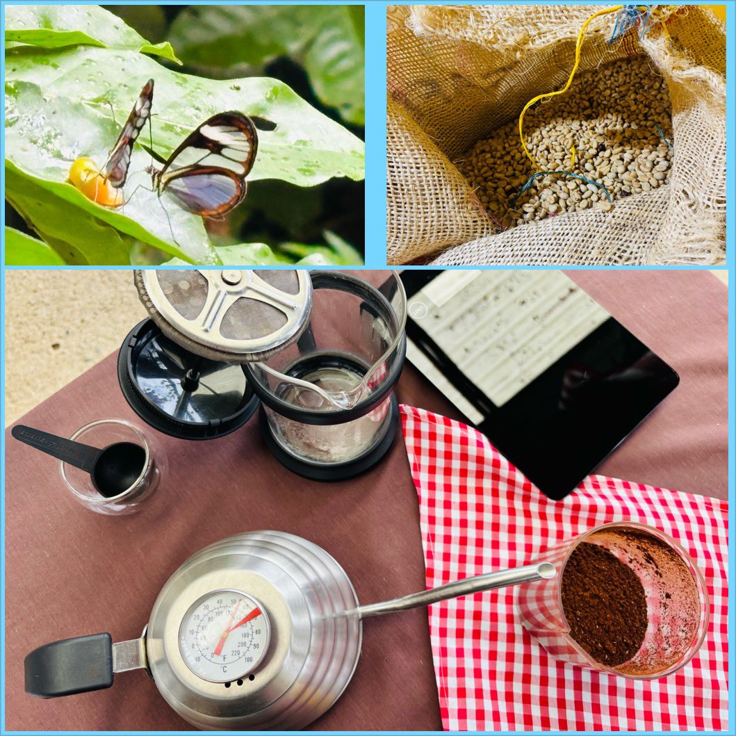 MissCDFarran's tweet image. Outside of #Bogota, there is a wonderful coffee farm near #Choachi. There Iβve learnt all about coffee, from seed to cup πππΌββοΈβοΈπ¨π΄