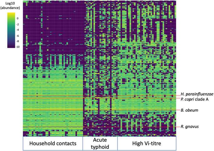 MicrobiomeJ's tweet image. In #Microbiome

🔍Investigating the links between the gut microbiome &amp;amp; typhoid fever

🚨Identifying 28 specific metabolic gene clusters negatively associated with typhoid fever, including 7 involved in SCFA metabolism

👉doi.org/pxb4