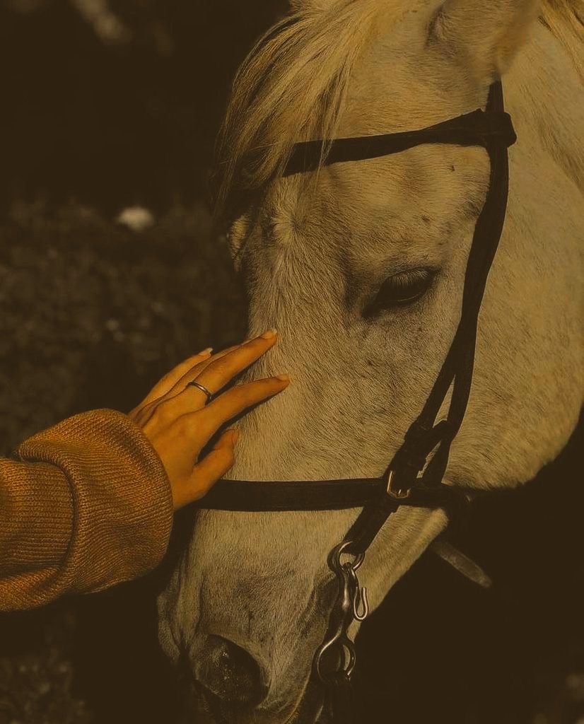 77Sayfa's tweet photo. insan yorulunca dünya kocaman bir nefes darlığı oluyor. https://t.co/xZA4xJqI20