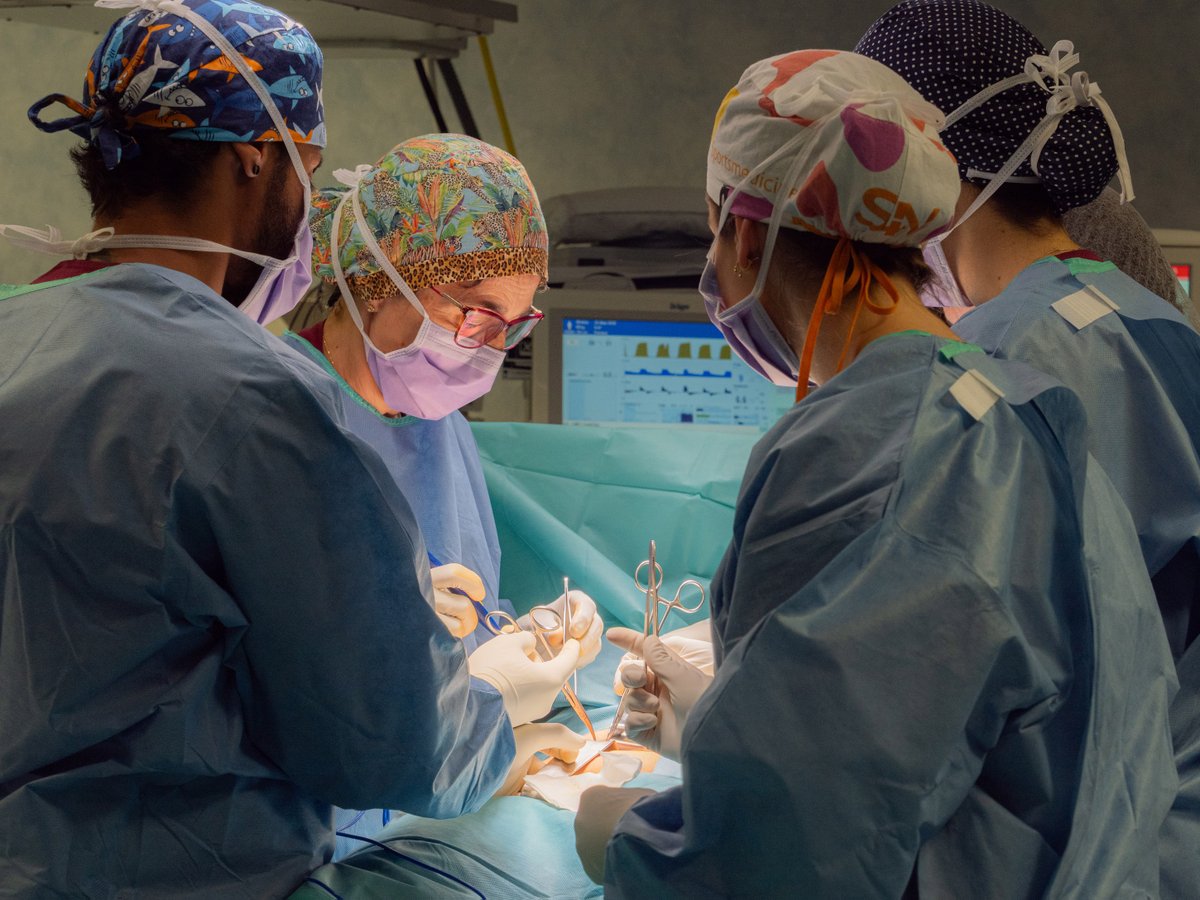 ConsellOsona's tweet image. 🏥 El CCO informa que durant el mes d’agost, l’@HUSCVic amplia i modernitza la capacitat dels quiròfans
🚧 Les obres faran que les Consultes Externes es traslladin temporalment en un altre espai de l’hospital.
✅ Només es podrà entrar per la porta principal de l’Hospital