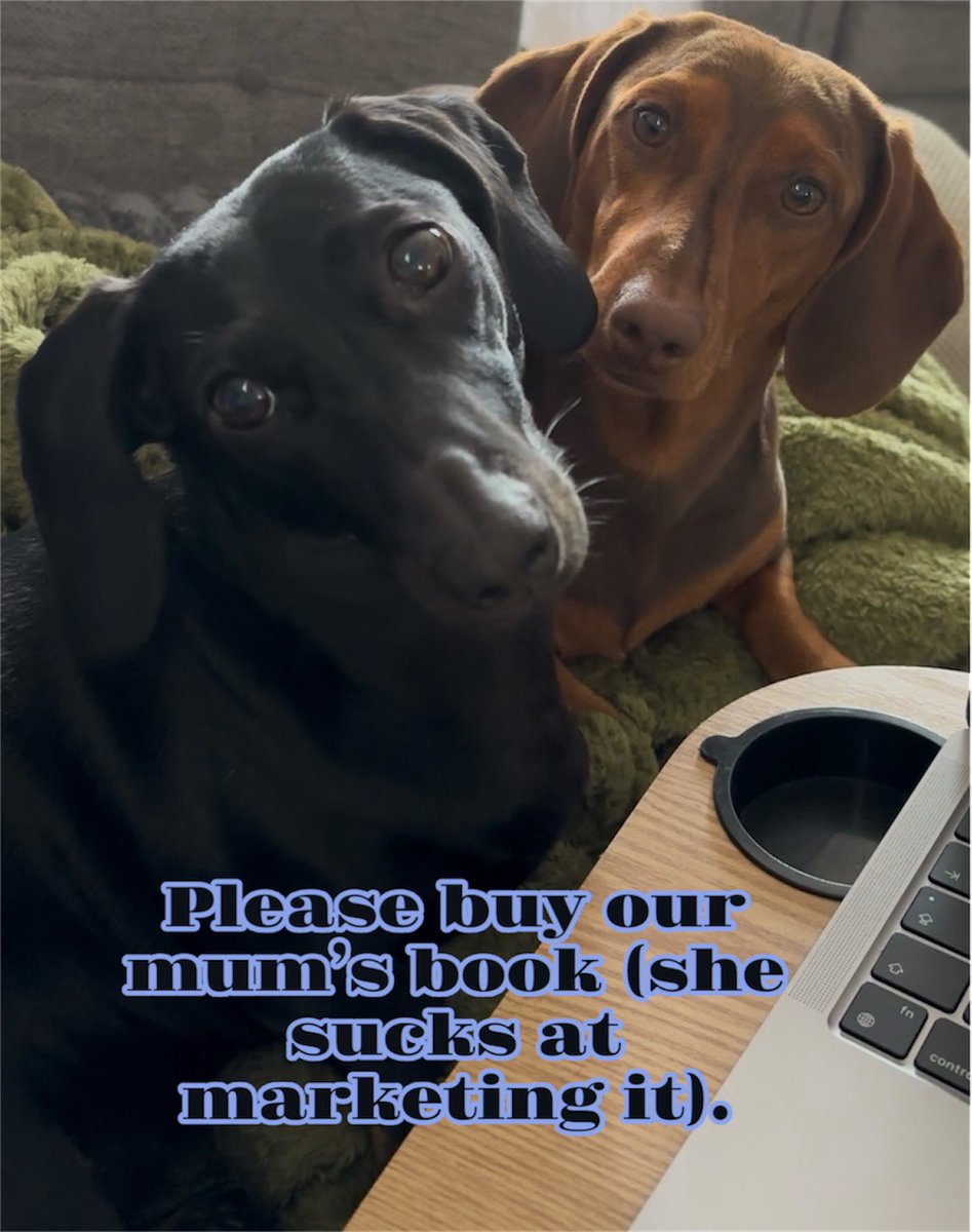 AuthorMill66972's tweet image. How could you say no to those little faces? 🥹🙈
amzn.eu/d/fLnXfz3
a.co/d/1i3Cx1v
#BookRecommendations #IARTG #Dachshunds #booktok #Wednesdayvibe #books