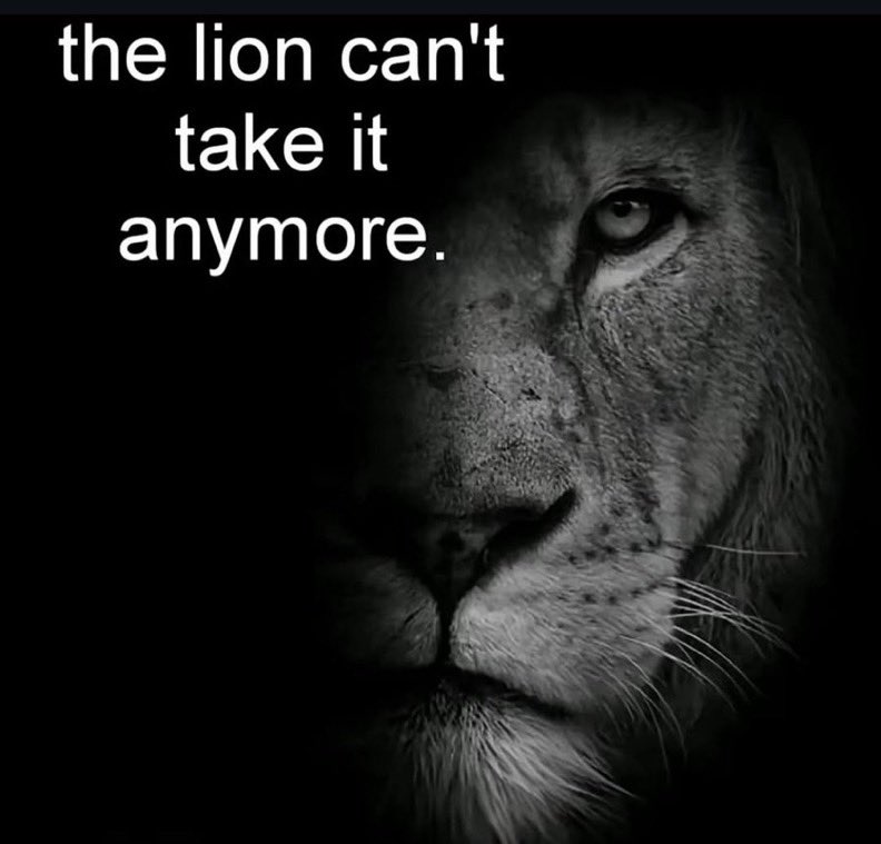 scooby (@scooby_sol) on Twitter photo 