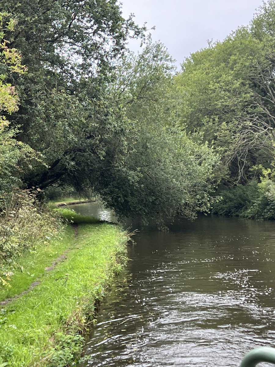 Wendy Douglas (@tidyboilerone) on Twitter photo <a href="/CRTWestMidlands/">Canal & River Trust West Midlands</a> Staffs&Worcester - navigable with caution but looks like it could fall at anytime ///bearable.project.exact <a href="/CRTWestMidlands/">Canal & River Trust West Midlands</a> Staffs&Worcester - navigable with caution but looks like it could fall at anytime ///bearable.project.exact