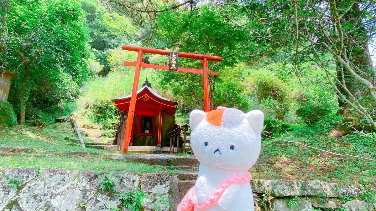 nathu_0701's tweet image. へちゃむくれとおでかけ