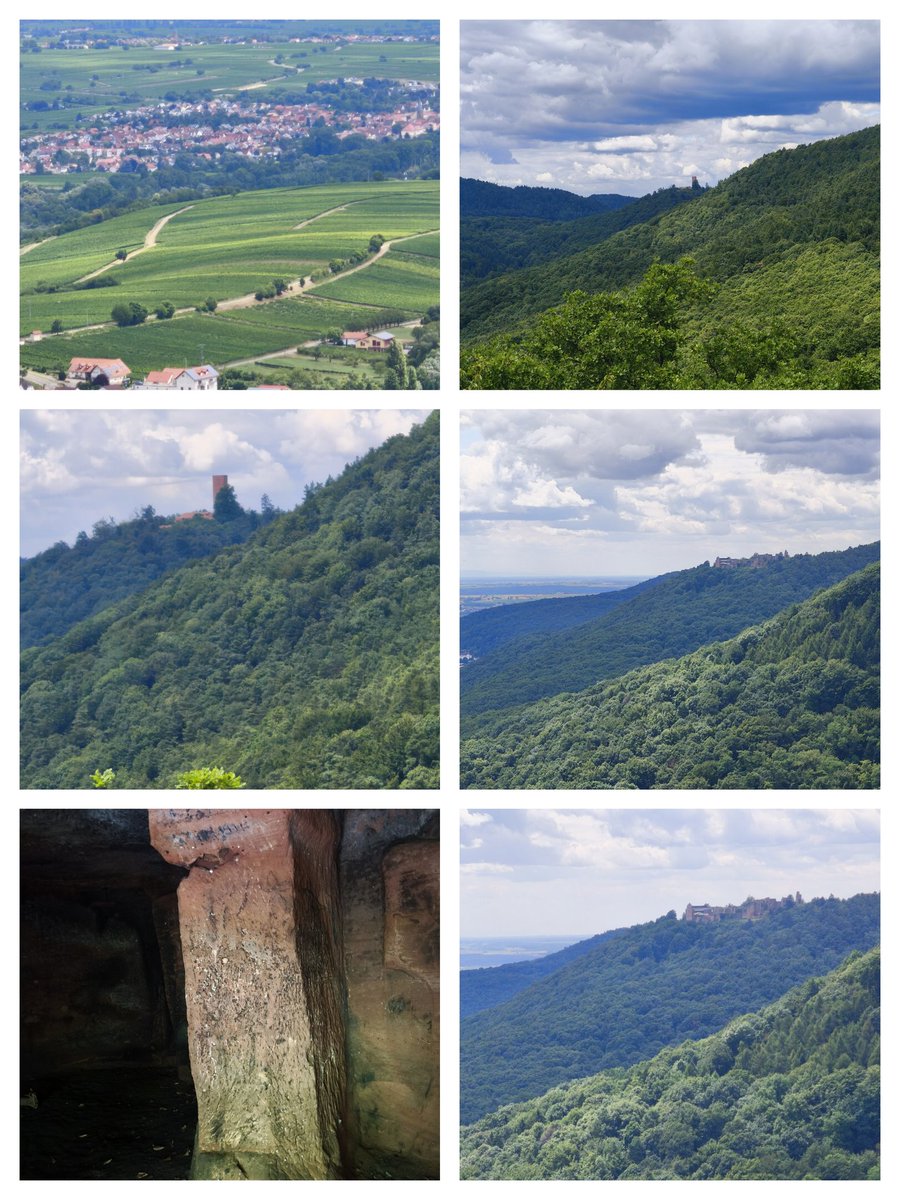 ElkeCunow's tweet image. Schönen Nachmittag ihr Lieben 👋🏼
Gruß von der Burgruine Neukastel bei Leinsweiler 👋🏼