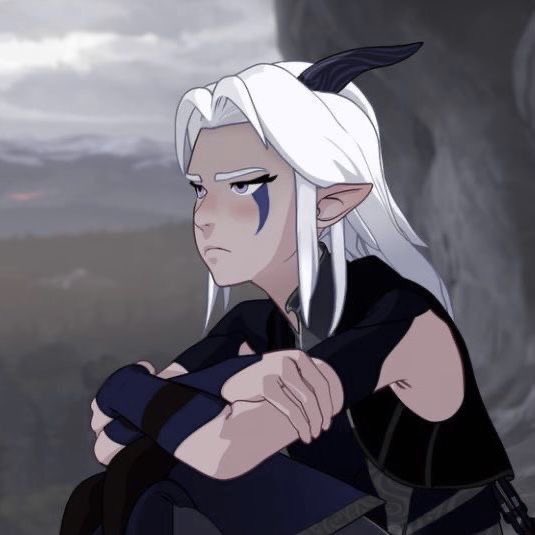 cosevietv's tweet image. I had a dream last night that I was watching season 8 of The Dragon Prince and I got to see 24-25 year old rayla and Callum and I was so happy and then I woke up and I was sad.