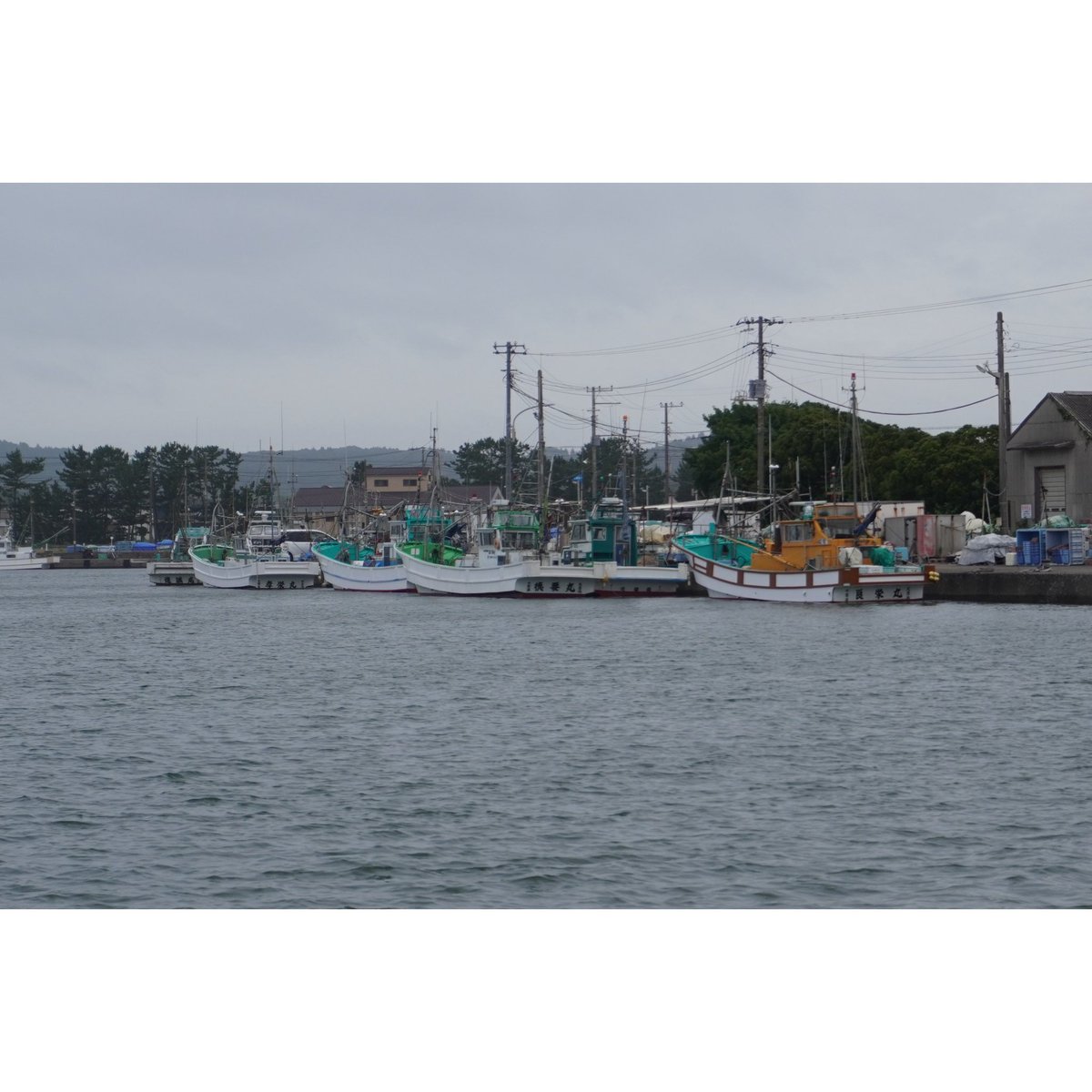 7月のテーマは「大人の自由研究発表－漁業編」！

プランナーは、いすみに暮らしながら漁業のことを少しずつ見聞きしてきたゆりなさん。早朝5時からの「#漁港ツアー」を企画してくれました。

見て、歩いて、話を聞いて。ふだんはなかなか見えない漁業の世界に、みんなでふれてきました。

2025.07.12