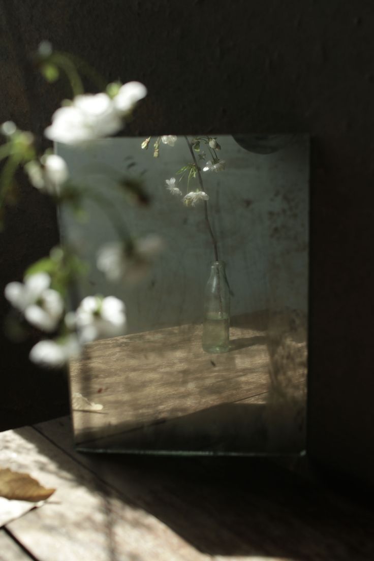 Αντικατοπτρισμοί και αναπαραστάσεις,,,