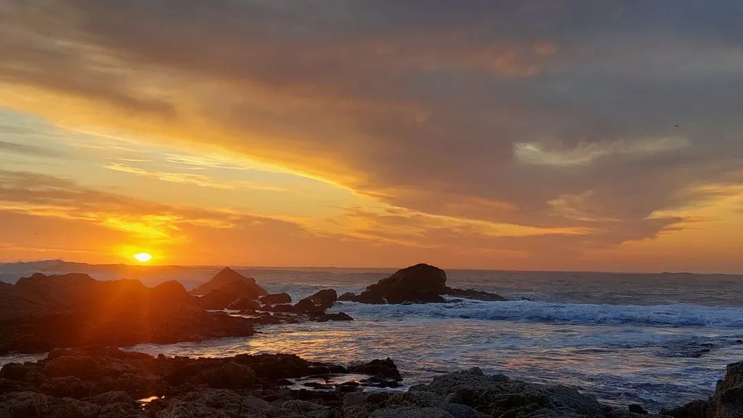 PatyAlvarezO's tweet image. "Que tus sueños se cumplan. Que tú motivación sea permanente. Que tú corazón encuentre paz. Que tú proyecto sea exitoso. Que tu esfuerzo sea recompensado. Que el universo conspire a tu favor"
Que todo fluya y que nada influya 💫
#BuenosDiasATodos 🫶☕️🌻
#FelizMiércoles 🎶💞🌞🍀