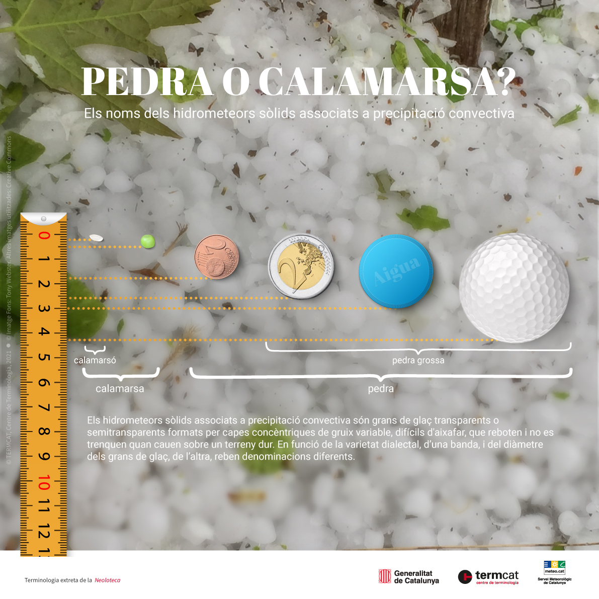 🌧☔🌩️ 'Pedra' o 'calamarsa'? O 'graníssol'? O 'calabruix'? O 'pilotes de golf'? 🙄

Recuperem la #infografia interactiva amb els noms dels hidrometeors sòlids perquè els pugueu anomenar amb precisió aquests dies 👇

termcat.cat/ca/recursos/pr…
