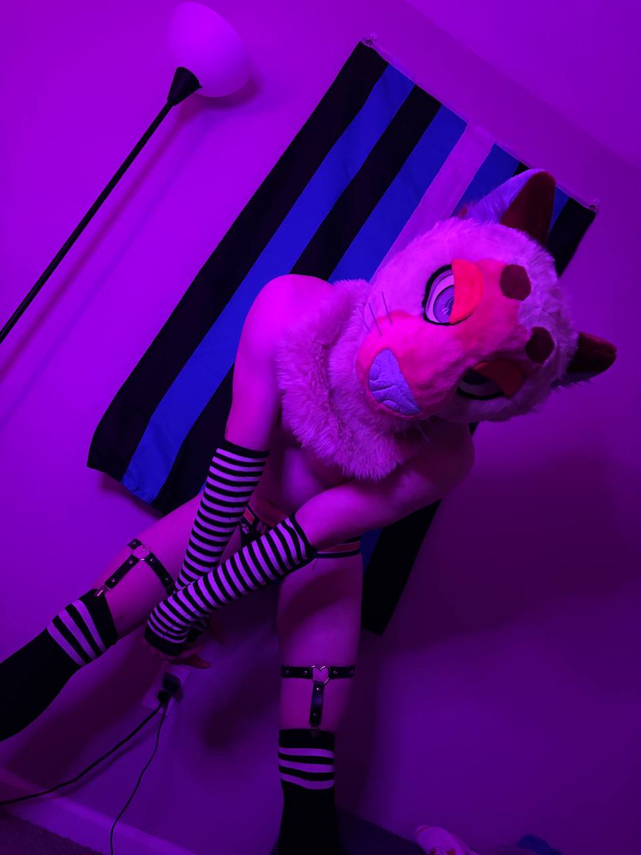 Hello there cutie, you lost?~ 

📸 And 🏠 by the absolutely amazing duo <a href="/BigKittyToki/">Toki</a> and <a href="/BunnyApollo/">Apollo Bunny</a>