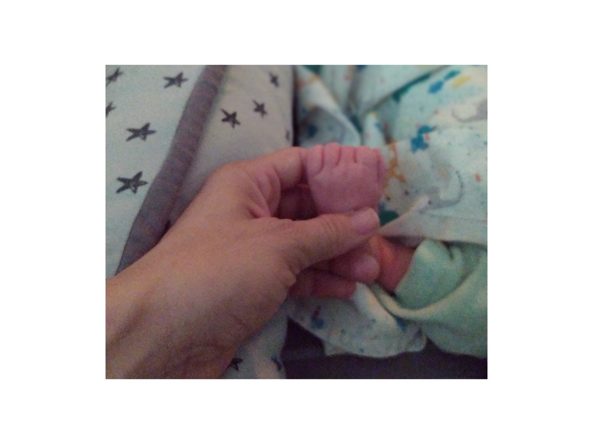 Raquel Gómez Martín tweet media