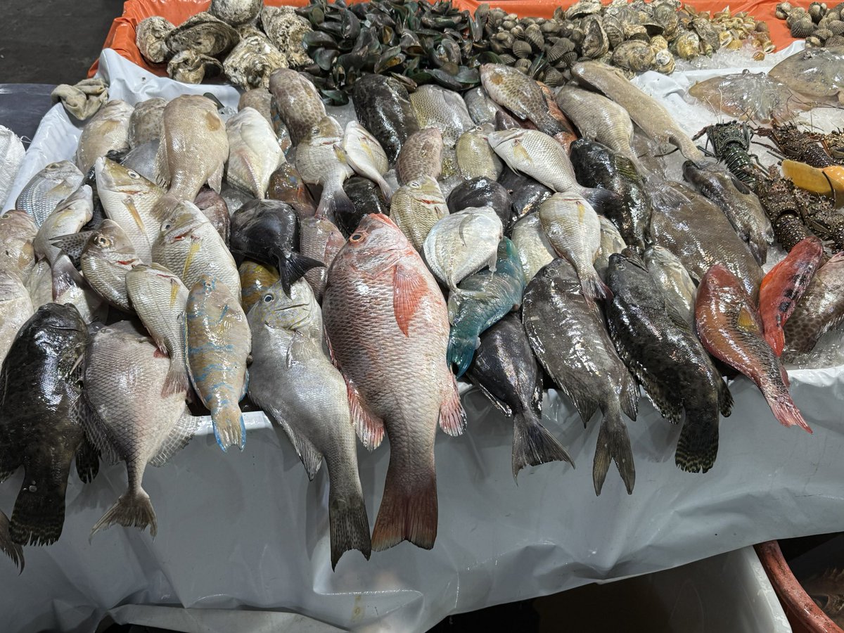 Ponteland High tweet media