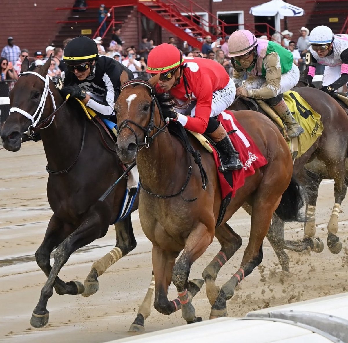 SuscripciónHipica (@suscripcion01) on Twitter photo #Así van en SARATOGA JINETES
1-<a href="/iradortiz/">Iradortiz</a>(17)
2-<a href="/jose93_ortiz/">Jose Ortiz</a>(14)
3-Flavien Prat(7)
3-<a href="/JRosarioJockey/">Joel Rosario</a>(7)
3-<a href="/Luissaezpty1/">Luis Saez</a>(7)
3-<a href="/RSantana_Jr/">Ricardo Santana, Jr.</a>(7).<a href="/suscripcion01/">SuscripciónHipica</a> #Así van en SARATOGA JINETES
1-<a href="/iradortiz/">Iradortiz</a>(17)
2-<a href="/jose93_ortiz/">Jose Ortiz</a>(14)
3-Flavien Prat(7)
3-<a href="/JRosarioJockey/">Joel Rosario</a>(7)
3-<a href="/Luissaezpty1/">Luis Saez</a>(7)
3-<a href="/RSantana_Jr/">Ricardo Santana, Jr.</a>(7).<a href="/suscripcion01/">SuscripciónHipica</a>