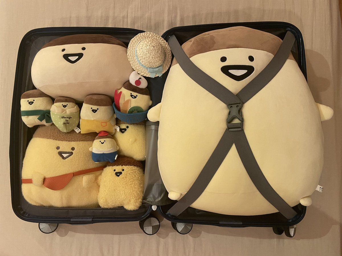 shiro_mochi1's tweet image. 僕も一緒に行っていい？/⸝⸝.ˬ.⸝⸝\