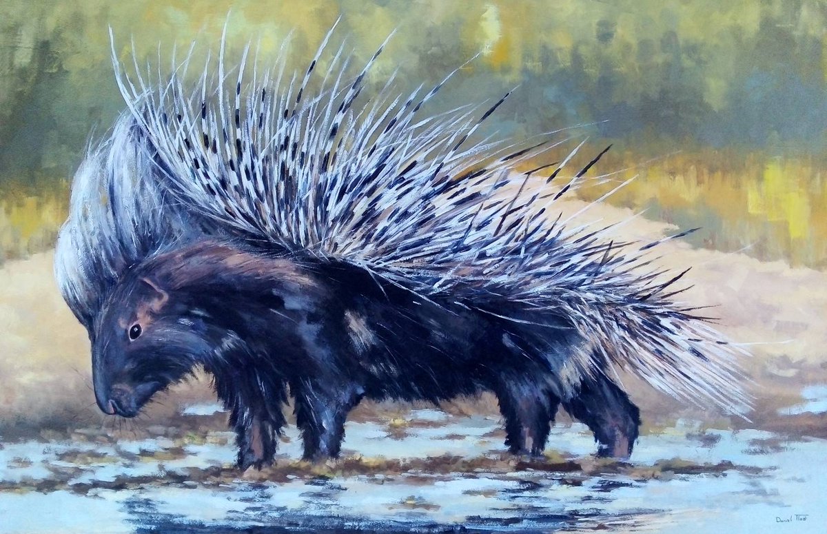 MSME Spotlight: Artist Daniel Tladi
From the mining township of Khuma near Stilfontein in the North West, emerges a visual storyteller whose artwork captures the soul of township and rural life with authenticity and flair.
nwdc.co.za/sbd/msme-spotl…