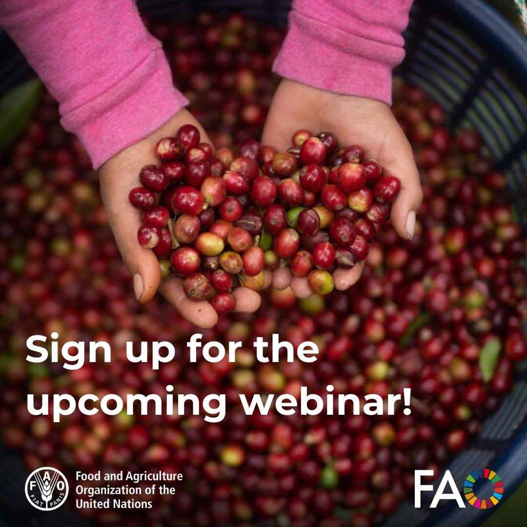 FAOAIMS's tweet image. 🚀 Join our upcoming webinar to explore new features in #AGRIS!
🔍Discover enhanced search, full-text access, multilingual records, and more. Perfect for users and data providers.
Register now! fao.zoom.us/meeting/regist…