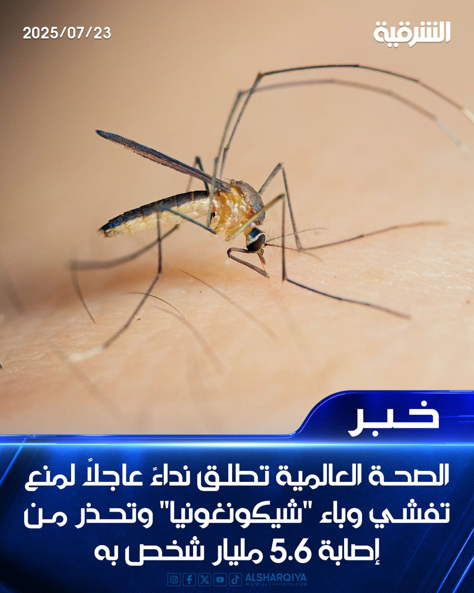 alsharqiyatv's tweet image. منظمة الصحة العالمية تطلق نداءً عاجلًا لمنع تفشي وباء "شيكونغونيا" الذي ينقله البعوض وتحذر من إصابة 5.6 مليار شخص به
#الشرقية_نيوز