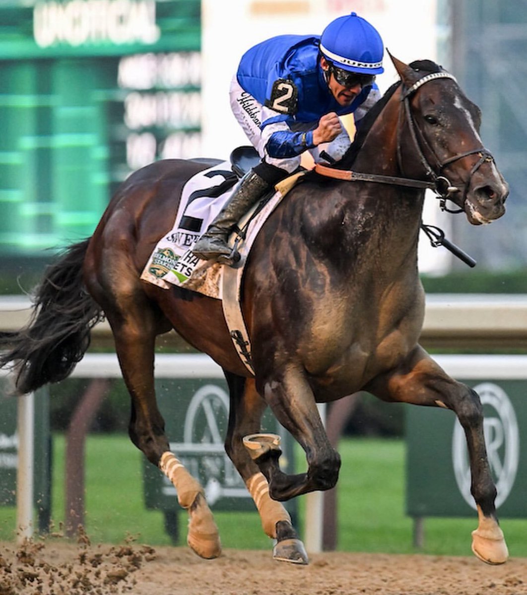 SuscripciónHipica (@suscripcion01) on Twitter photo #SOVEREIGNTY 2025 🥇Marzo 1 Fountain Of Youth Stks 🥈Marzo 29 Florida Derby 🥇Mayo 3 <a href="/KentuckyDerby/">Kentucky Derby</a> 🥇Junio 8 <a href="/BelmontStakes/">Belmont Stakes</a> Bill Mott <a href="/JuniorandKellyA/">Junior and Kelly Alvarado</a> <a href="/godolphin/">Godolphin</a>.<a href="/suscripcion01/">SuscripciónHipica</a> #SOVEREIGNTY 2025 🥇Marzo 1 Fountain Of Youth Stks 🥈Marzo 29 Florida Derby 🥇Mayo 3 <a href="/KentuckyDerby/">Kentucky Derby</a> 🥇Junio 8 <a href="/BelmontStakes/">Belmont Stakes</a> Bill Mott <a href="/JuniorandKellyA/">Junior and Kelly Alvarado</a> <a href="/godolphin/">Godolphin</a>.<a href="/suscripcion01/">SuscripciónHipica</a>