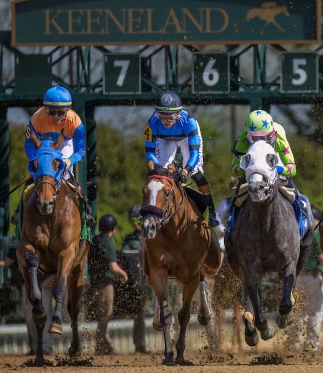 SuscripciónHipica (@suscripcion01) on Twitter photo #Los mejores 5 hipódromos de🇺🇸 para apostar
1-<a href="/keenelandracing/">Keeneland Racing</a>
2-SARATOGA <a href="/TheNYRA/">NYRA (🎪)</a>
3-<a href="/DelMarRacing/">Del Mar Racetrack</a>
4-<a href="/ChurchillDowns/">Churchill Downs</a>
5-<a href="/KYDownsRacing/">Kentucky Downs</a>.<a href="/suscripcion01/">SuscripciónHipica</a> #Los mejores 5 hipódromos de🇺🇸 para apostar
1-<a href="/keenelandracing/">Keeneland Racing</a>
2-SARATOGA <a href="/TheNYRA/">NYRA (🎪)</a>
3-<a href="/DelMarRacing/">Del Mar Racetrack</a>
4-<a href="/ChurchillDowns/">Churchill Downs</a>
5-<a href="/KYDownsRacing/">Kentucky Downs</a>.<a href="/suscripcion01/">SuscripciónHipica</a>