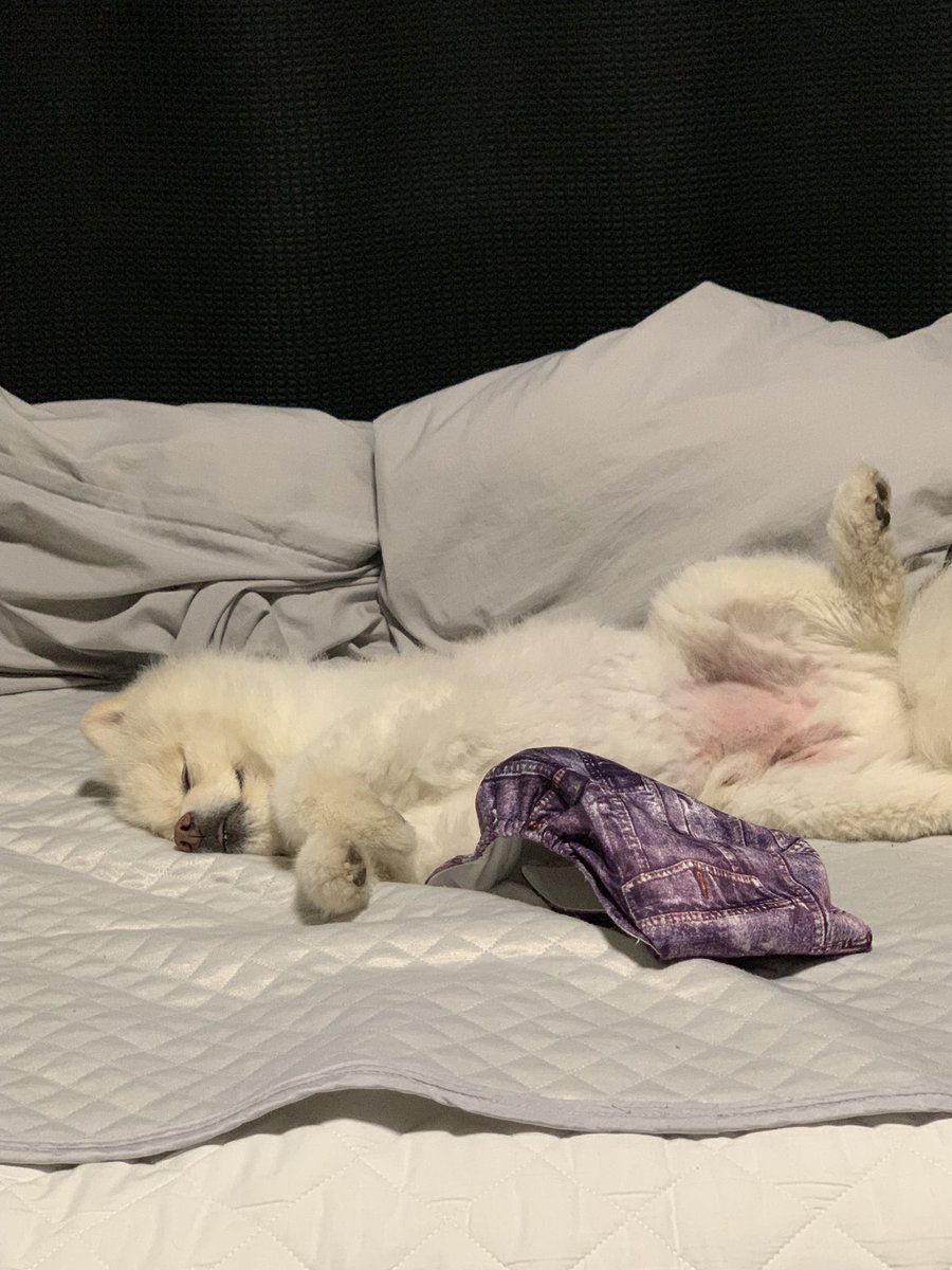 rikulol000's tweet photo. https://t.co/e3XipS3dcb