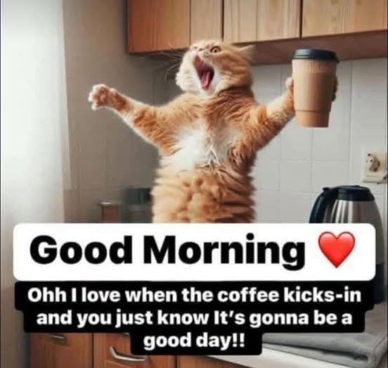 marewho12's tweet image. Good morning and happy Wednesday! I have poured my first cup of coffee and getting ready to start my day. We are looking at a high of 105 today in AZ.
I hope everyone has a wonderful day, stay safe out there my friends.🤗☕️