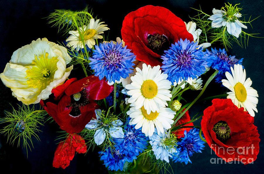 photographervin's tweet image. #flowers alexander-vinogradov.pixels.com/featured/joy-o…
#avinogradovflowers #photographyisart #nature #AlexanderVinogradov #photoghraphy #flowers #floralart #beautiful #print #giftideas #buyintoart #ArtSale #wallart #YearforArt #ArtLovers #BeautyinArt #FlowersOnX #garden #gardeningx #photography
