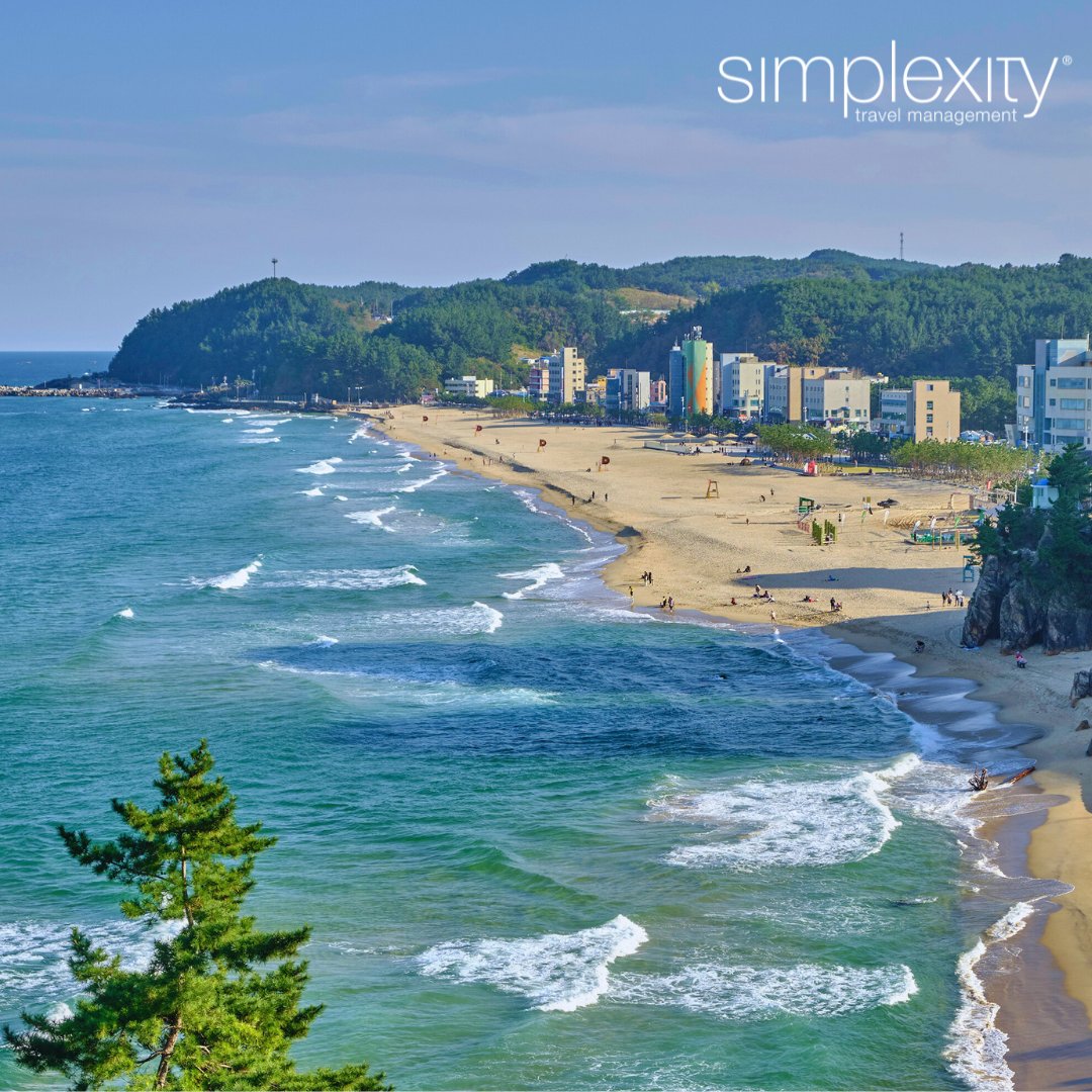 SimplexityTM's tweet image. Discover a different side of South Korea—where tradition meets creativity and summer brings unexpected delights. From high-energy beach festivals to serene wellness escapes, it’s a destination that rewards curious travellers. #southkorea #travelasia
