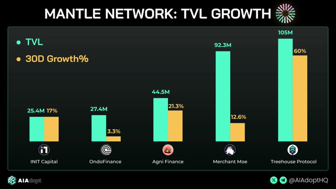 Mantle Network TVL Growth Chart 2025