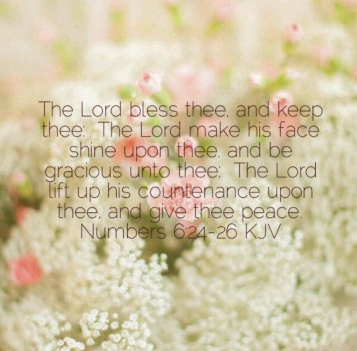 Bitternesstojoy's tweet image. Numbers 6:24-26
The Lord bless thee, and keep thee:
The Lord make his face shine upon thee, and be gracious unto thee:
The Lord lift up his countenance upon thee, and give thee peace.