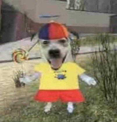 Propeller Hat Dog (2022)