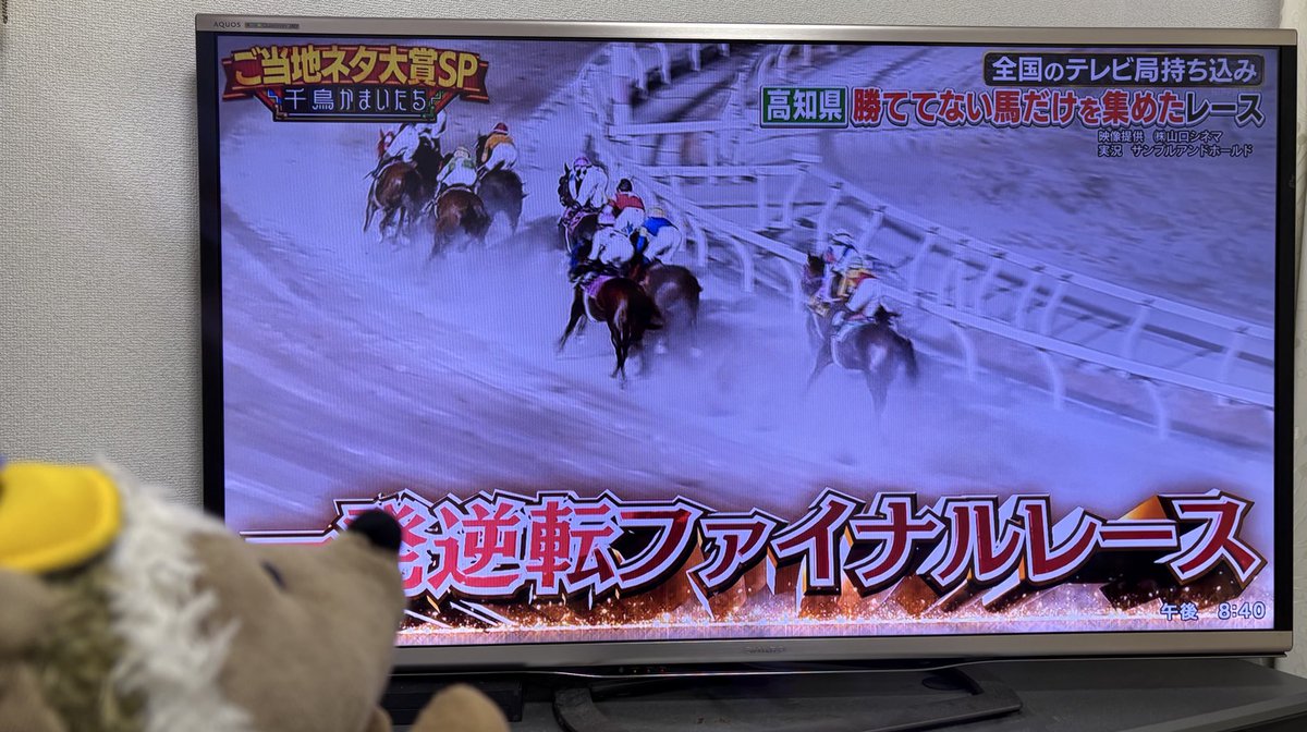 ハリネズミ助手、残念ながら出番は無しでガッカリ…🦔💦
インタビューお疲れさまでした🍵