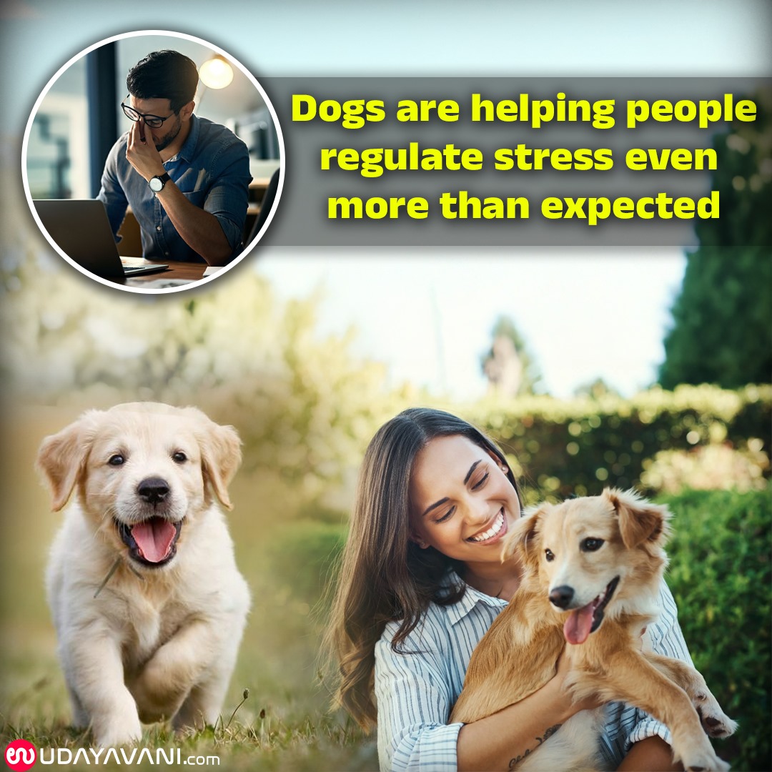 UvEnglish's tweet image. Dogs are helping people regulate stress even more than expected, research shows

uvnews.in/1oh34sy

#dogs, #pettherapy, #mentalhealth, #stressrelief, #paws4mentalhealth, #dogsofinstagram
