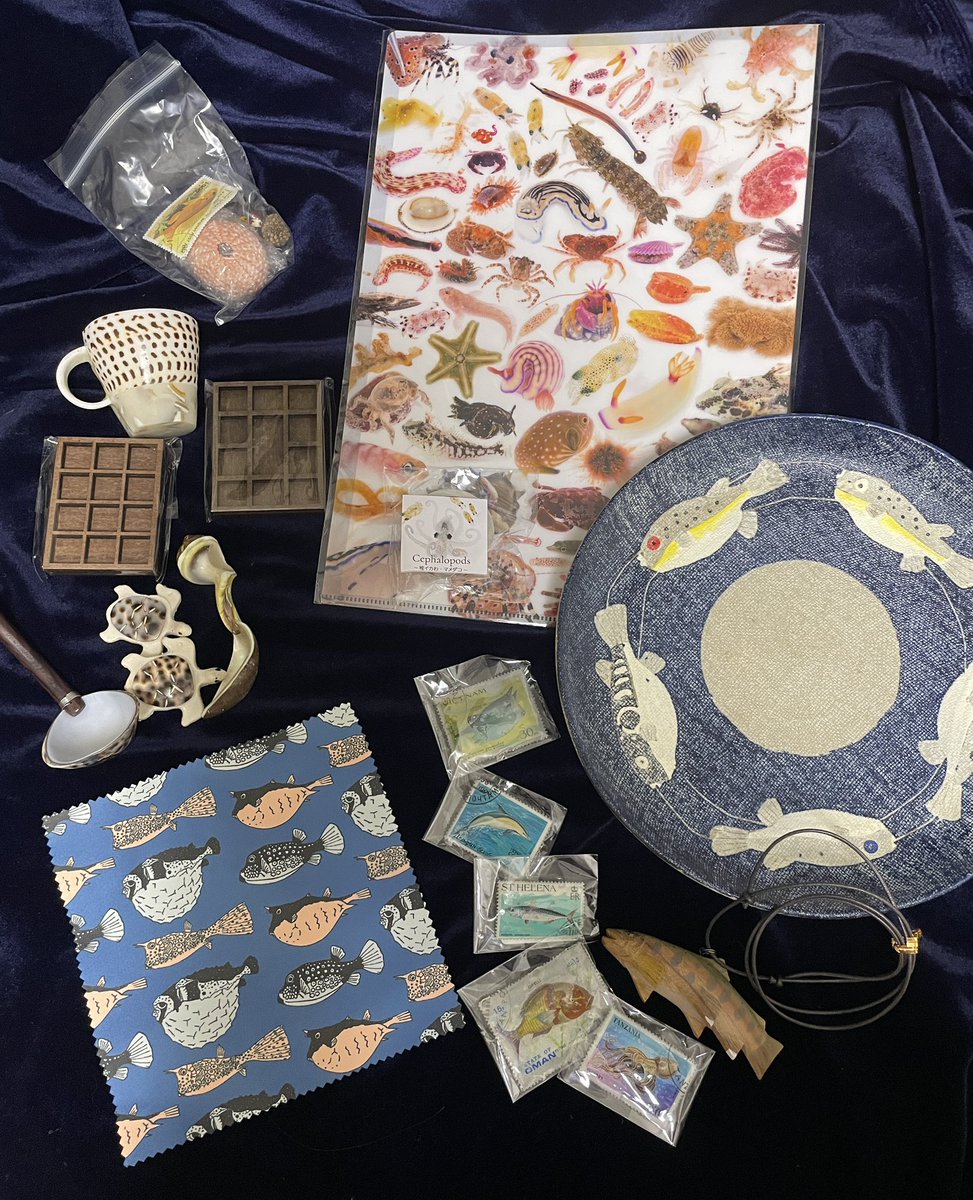 diderot24da's tweet image. 博物ふぇすたくさん買いました
とっても心躍っております
左上 ガチャ
ファイルとマステ@K_theHermit
フグ皿@senmu00
ヤマメのネックレス 山口幸男様
切手のブローチ ジェイド・シャーロットのいきもの支店様
メガネ拭きと貝殻のお店はショップカードをもらい忘れました😓
#博物ふぇす収穫祭