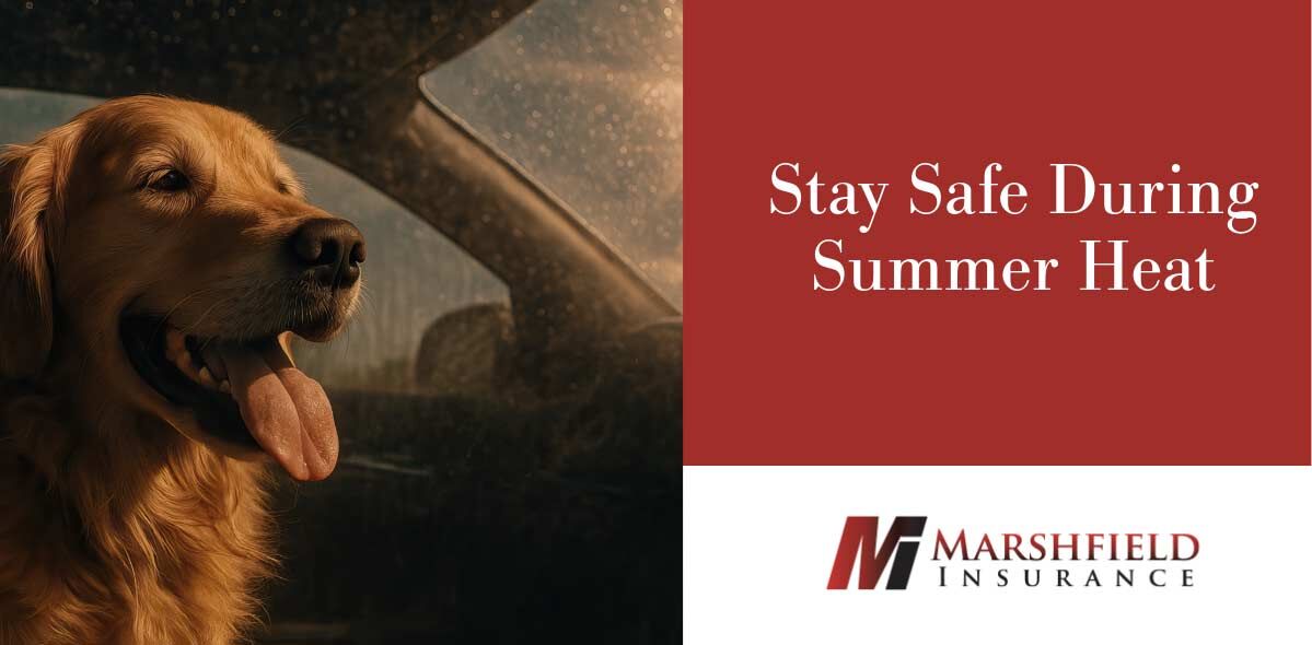 Marshfield Insurance tweet media