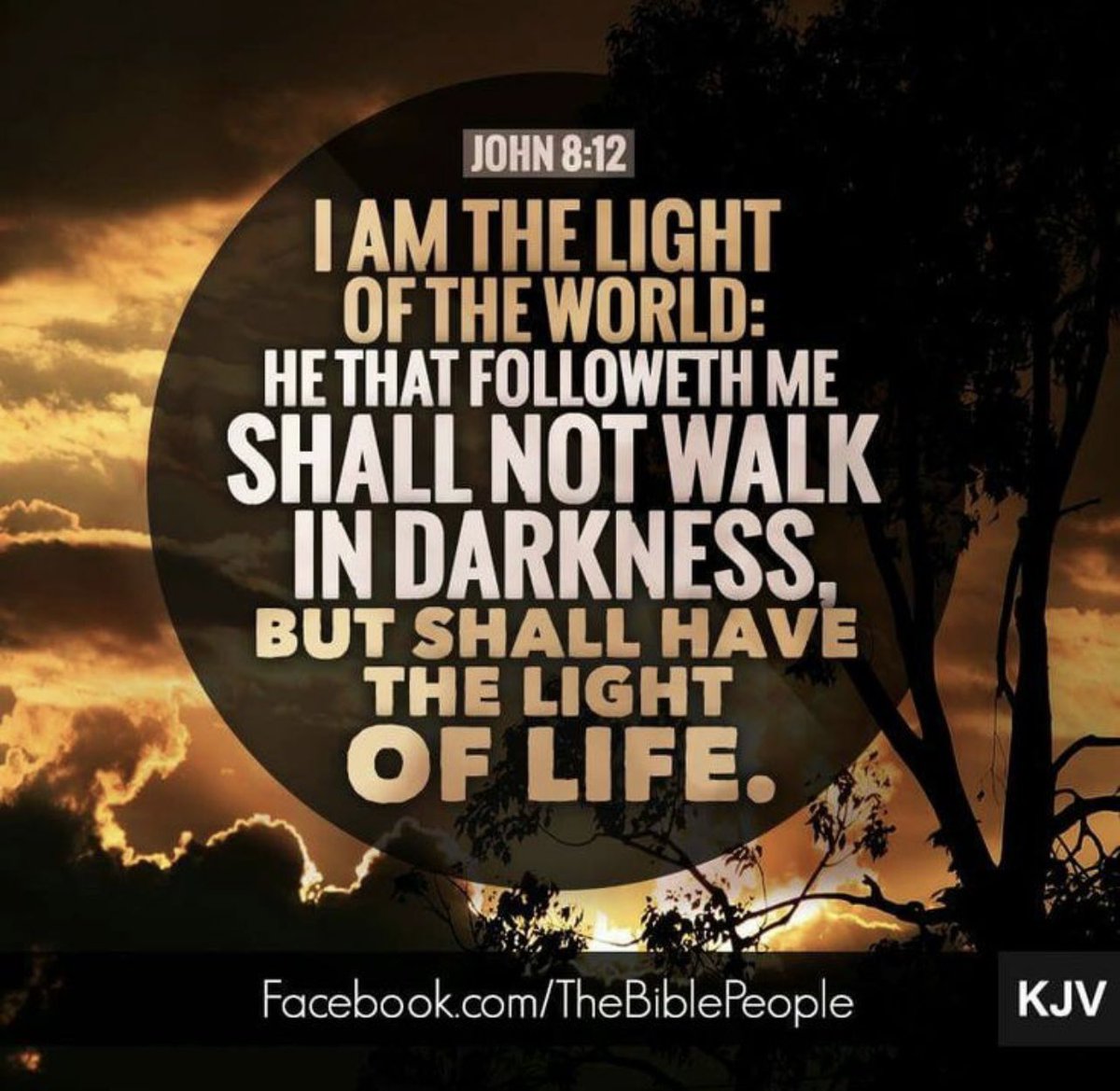 Bitternesstojoy's tweet image. John 8:12
Then spake Jesus again unto them, saying, I am the light of the world: he that followeth me shall not walk in darkness, but shall have the light of life.
