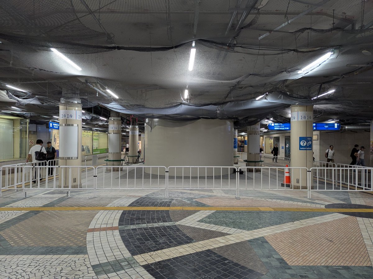 gucchi_811's tweet image. 囲いが取れたようです。