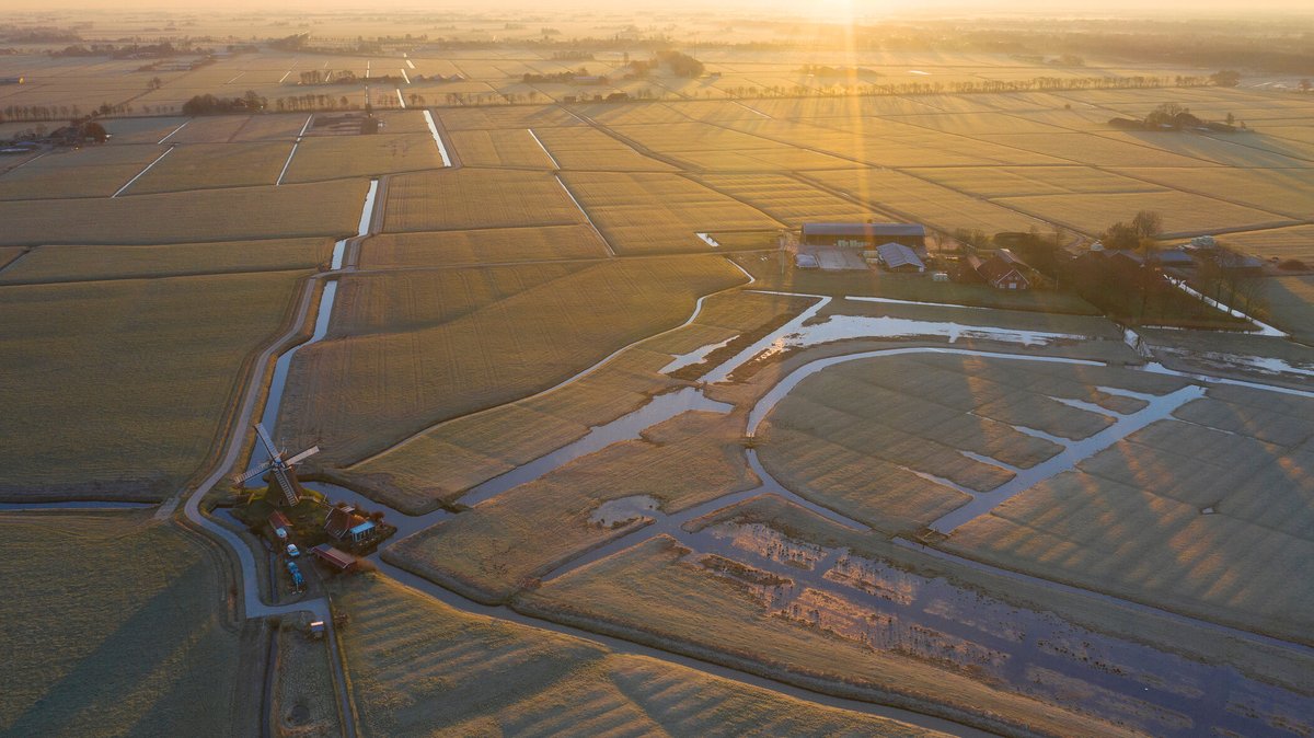 Het Groninger Landschap heeft een perceel van 9.000 m² aangekocht in het #Reitdiepgebied, grenzend aan #Koningslaagte. Dit stuk land ligt midden in een belangrijk leefgebied voor #weidevogels en grenst aan een oude meander van de #Hunze. groningerlandschap.nl/actualiteiten📸Mark Schuurman