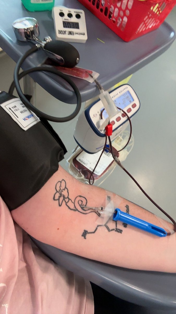 sansaenthusiast's tweet image. round 7 done !!! please donate blood if you can🫡😝 photos hidden for needles + blood