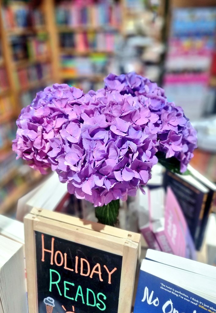 BridgeBooksDro1's tweet image. The hydrangea have been topped up, thanks to the Percy Thrower (one for the oldies) of Dromore AKA @lynnesymington. Aren't they stunning! 😍