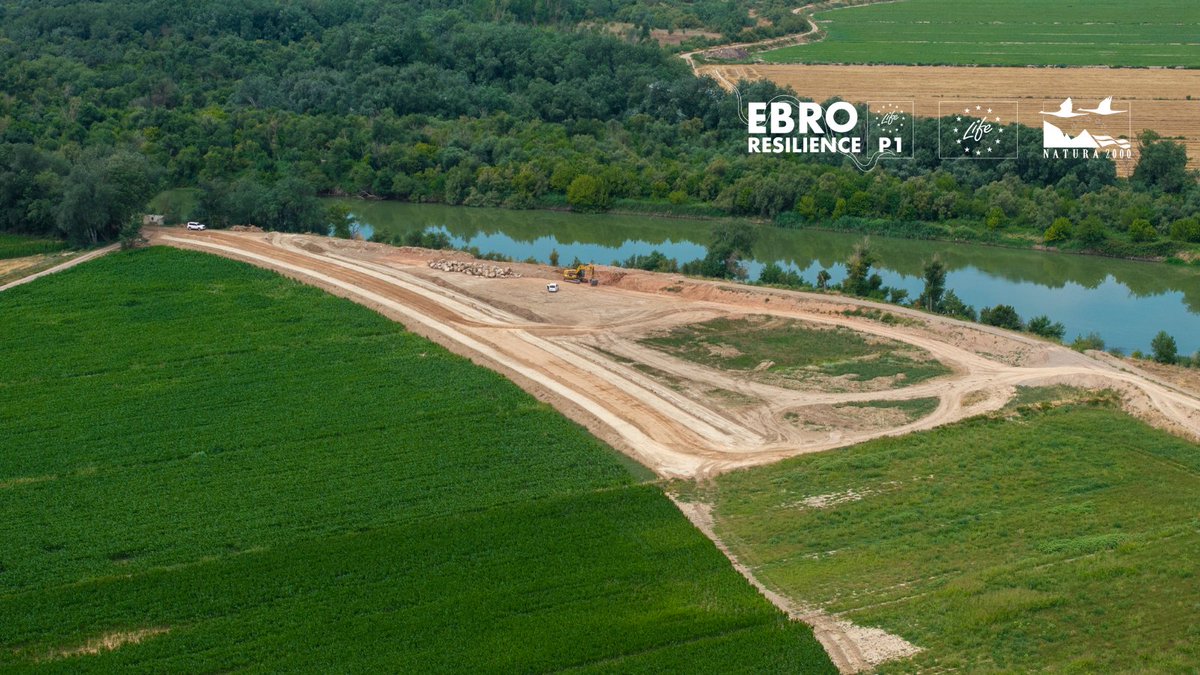 1⃣ Adaptación 2⃣ Recuperación de espacio fluvial. Conceptos ligados a #LIFEEbroResilienceP1. 
📸 Trabajando en el meandro de Aguilar. Tramo Osera - Fuentes de Ebro (Z).  
✅ Alejando la defensa del cauce, evitando estrechamiento
✅ Mejorando la adaptación de una zona agrícola