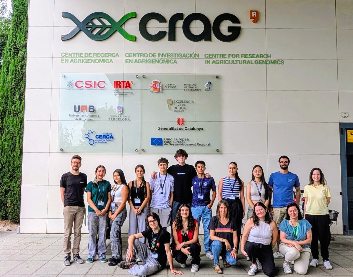 irtacat's tweet image. Investigadors de l'IRTA al @cragenomica han participat en el #BIYSC2025, un programa internacional de la @FCLP_Fundacio.

Han guiat un grup de nou estudiants en un projecte sobre genòmica del #meló i sobre com la #biotecnologia pot ajudar a afrontar els reptes climàtics.🍈