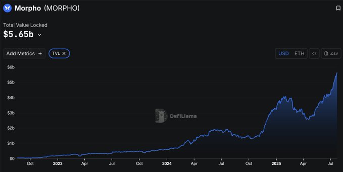Morpho TVL增长图，显示两年内从0增长至56.5亿美元