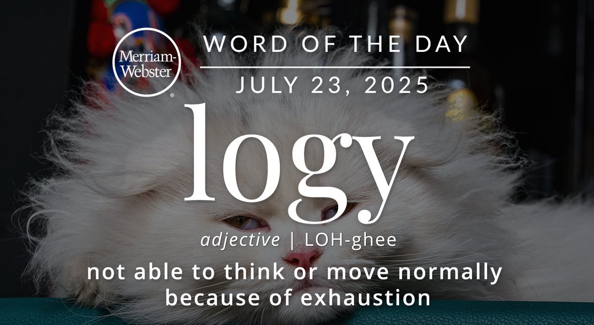 The #WordOfTheDay is ‘logy.’
ow.ly/tNzq50WsOe1