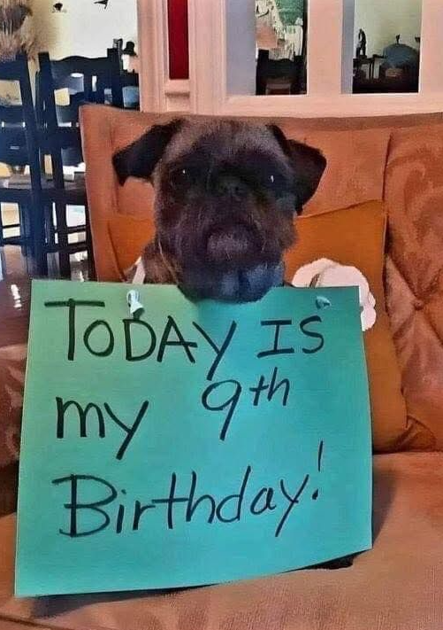 TweeetsOfDogs's tweet image. As I celebrate my birthday today, my only wish is to be surrounded by the warmth of those who cherish and appreciate me... ❤️🙏