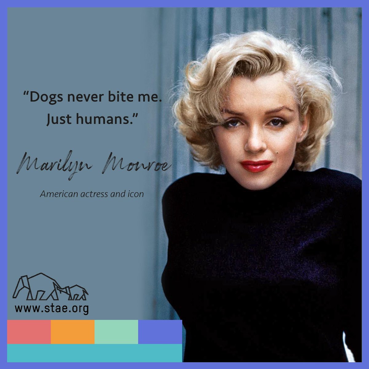 stae_elephants's tweet image. “Dogs never bite me. Just humans.”
Marilyn Monroe, American actress and icon