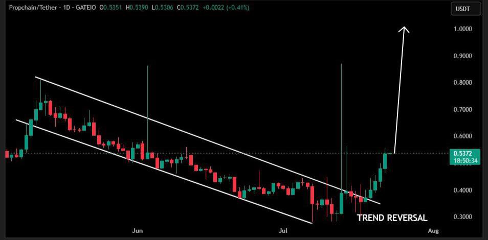 ChadCaff's tweet image. $PROPC with a clear trend reversal
RWA narrative and this is one of the most solid RWA projects imo, building for a long time
Only $20m marketcap