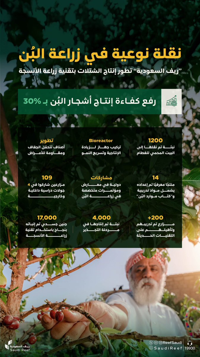 SaudiNews50's tweet image. أطلق برنامج التنمية الريفية الزراعية المستدامة #ريف_السعودية مشروعاً نوعياً لتطوير زراعة أنسجة أشجار البن، بهدف رفع كفاءة الإنتاج بنسبة 30% بحلول نهاية 2025، مع تعزيز استخدام التقنيات لرفع جودة حبوب البن.