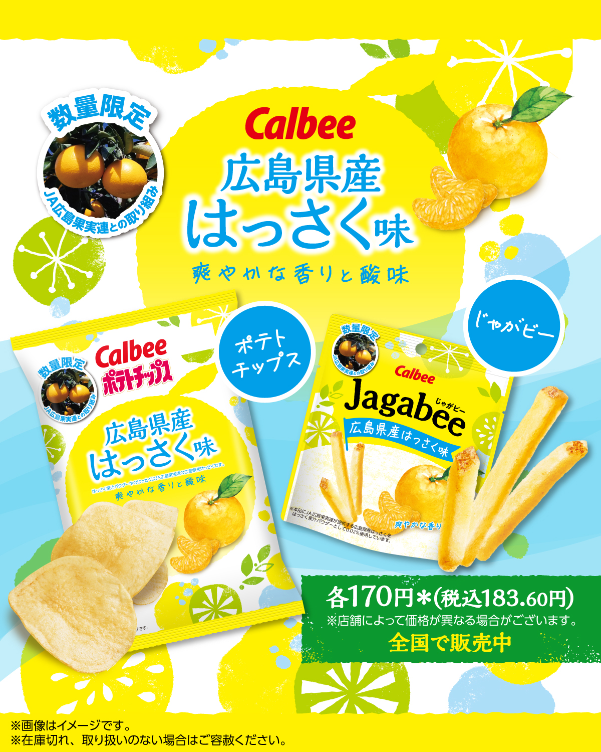 sさま専用のおやつ　ご確認ください☺︎ Amazon | グルマンディーズ(Gourmandise) ポケットモンスター